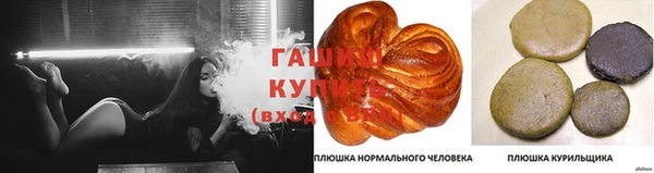 Альфа ПВП Инсар