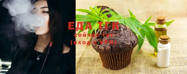 Альфа ПВП Инсар