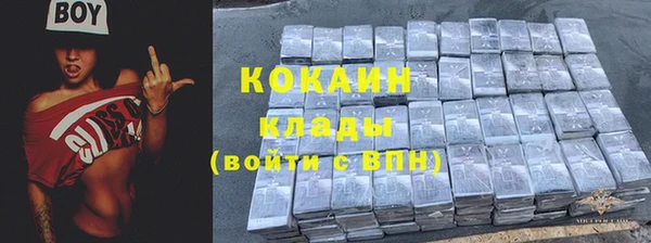 Альфа ПВП Инсар