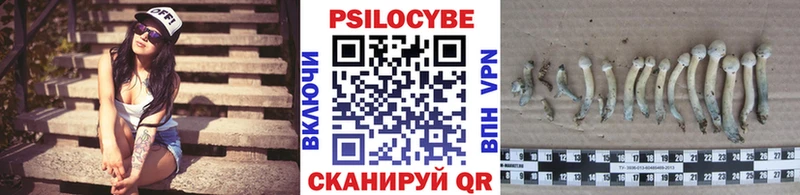 Купить закладки  Козловка  Псилоцибиновые грибы MAGIC MUSHROOMS 